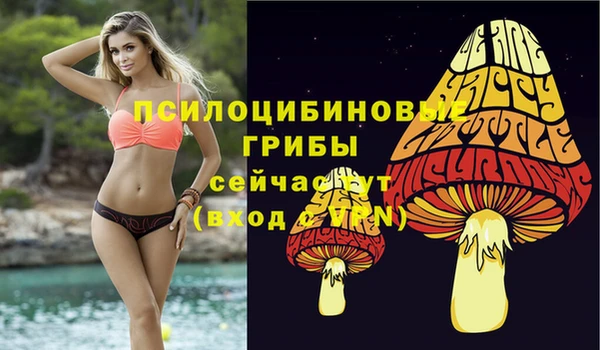 спиды Абаза