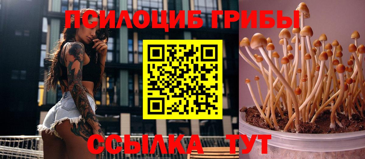 Галлюциногенные грибы мухоморы Майский