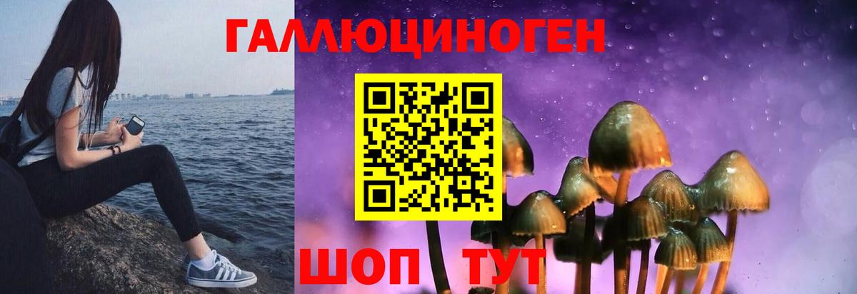 Псилоцибиновые грибы Cubensis  Вход с VPN  Майский 